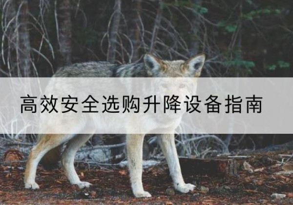 魏都升降货梯厂家推荐-*安全选购升降设备指南