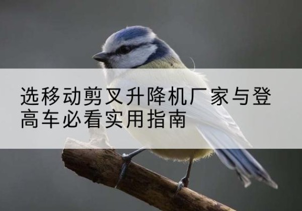 魏都电动升降机厂家-选移动剪叉升降机厂家与登高车必看实用指南